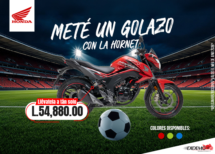 POPUPS SITIO WEB_HORNET.jpg